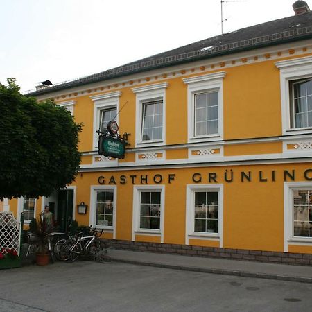 Gasthof Gruenling Wallsee 외부 사진